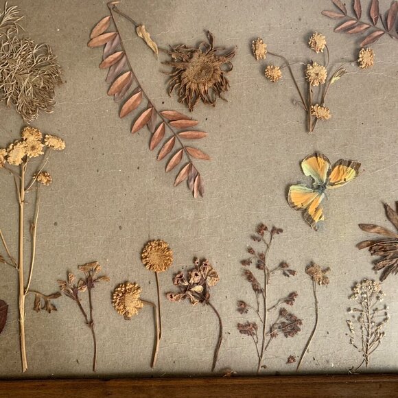 Vintage Wood Handled Serving Tray Pressed Flowers Butterfly Glass 1960s - Picture 3 of 8